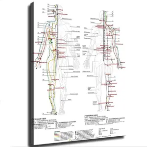 Human Body Standard Meridian Acupuncture Massage Acupoint Chart Poster Canvas Print Wall Art Modern Classroom Kitchen Bedroom Room Aesthetics Decoration Unframed and Framed (unframed,24x36 inch) Gifts Photo Colorful Ornaments Artistic Water Proof