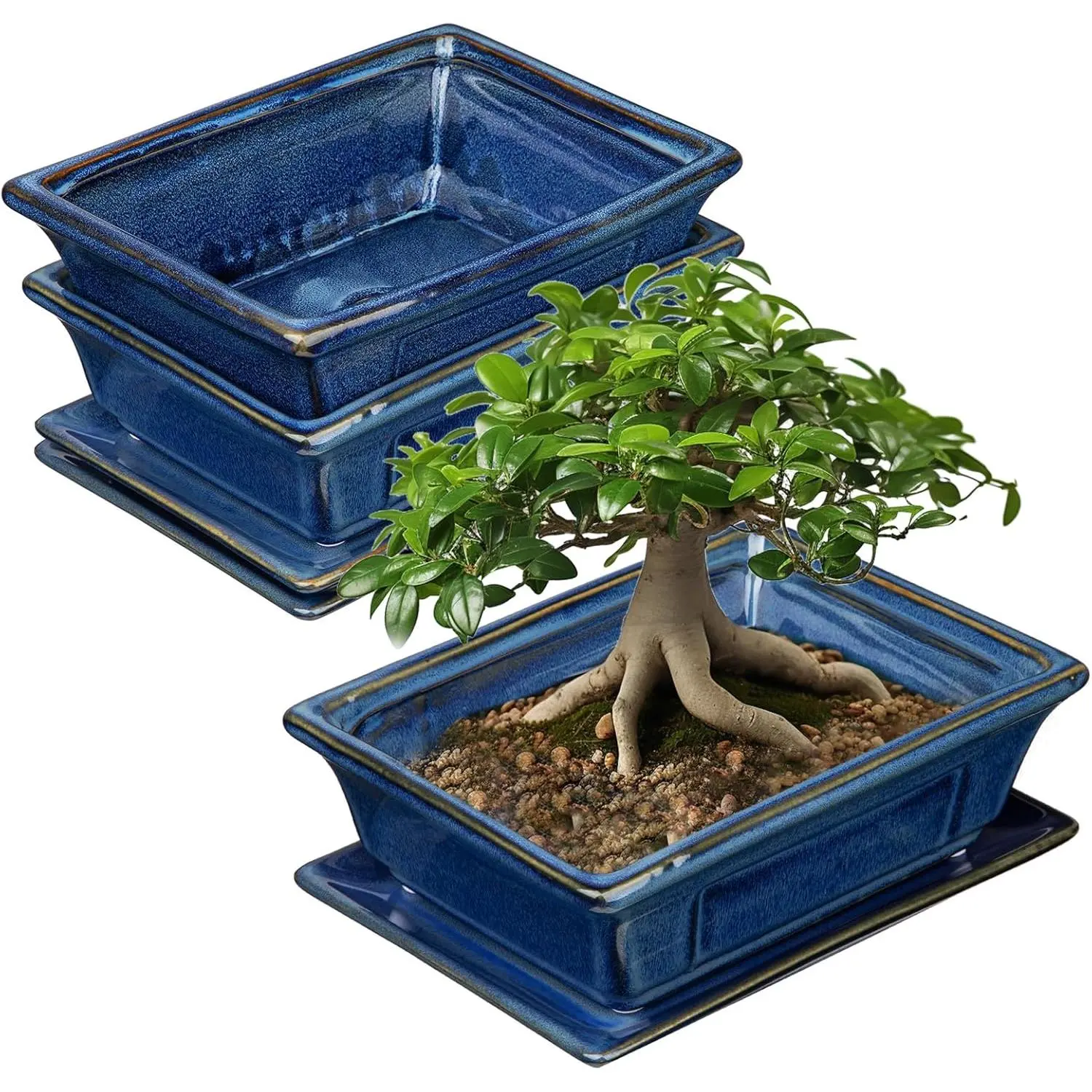 Bonsai Pots Small Shallow Succulent Planters for Live Bonsai Trees Set of 2, 7.5" Ceramic Pot for  Indoor with Drainage Hole and , Outdoor Cactus  Bonsai Pot