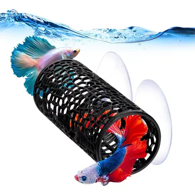 Diy Betta Fish Decor TikTok Shop