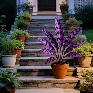 Hosta Seeds Perennial Shade Plant for Garden and YardNon-GMO USA Made with instructions for Easy Care andVersatile Growth