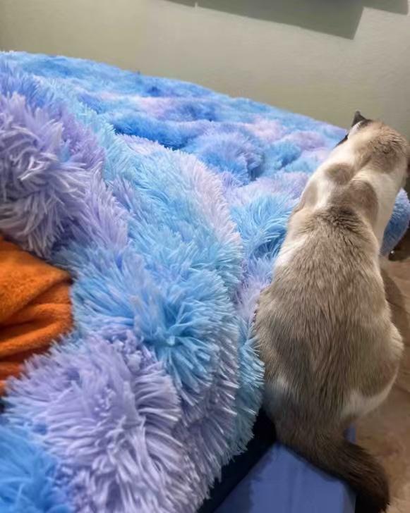 Item: Starlight Blue, QUEEN