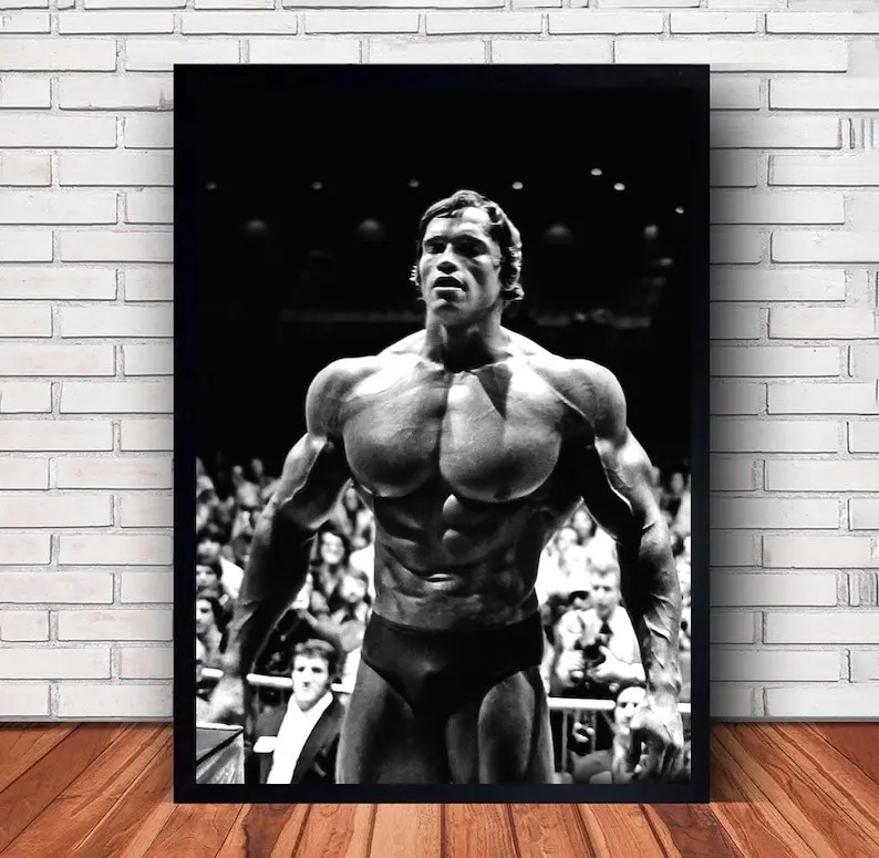 Arnold Schwarzenegger Fitness Bodybuilding Wall Art Poster