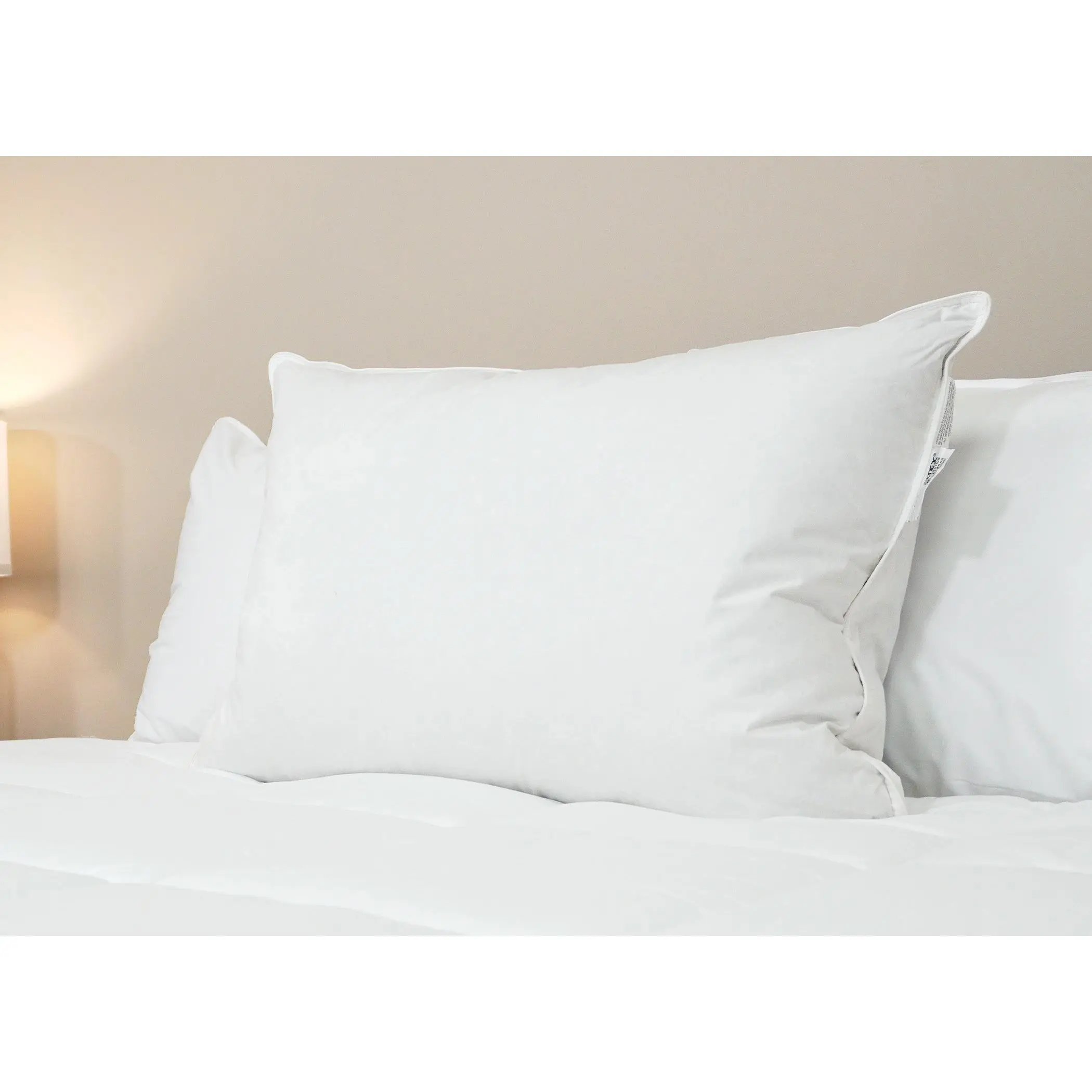 Pillowtex Luxury Core Down and Feather Pillow | 25% Feather/75% Down