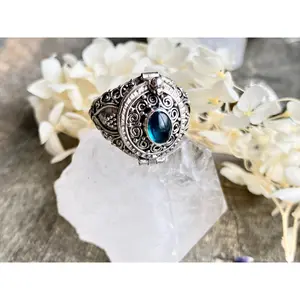 Gemstone Locket Poison 925 Silver Handmade Ring - Crystal Healing Meditation