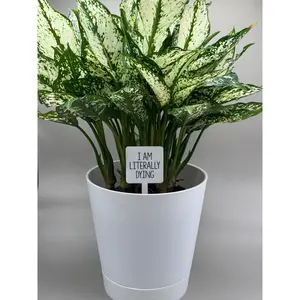 I Am Literally Dying Plant Marker - Simple Design with Black Text on White Background