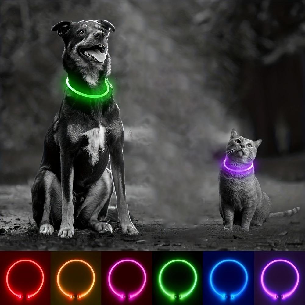 USB Rechargeable Whole Luminous Pet Dog LED Light Collar Anti-loss At Night