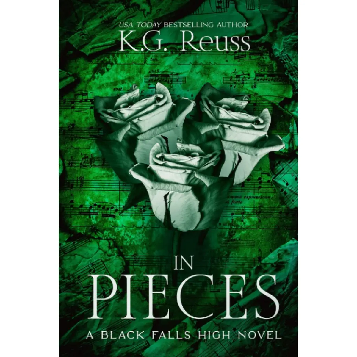 In Pieces: A Dark High School Bully Romance (A Black Falls High Novel) Hardcover – February 7, 2023