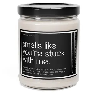 Anniversary Gift, Funny Candle Gift for Boyfriend, Husband Valentines Day Gift Boyfriend Funny Gifts for Him Birthday Gift Fiance Engagement Decor Lavender Sage Vanilla Freshener Decoration Scented Scent Aroma