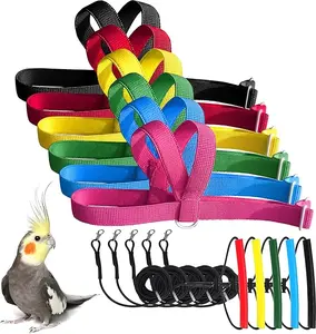 Adjustable Parrot Harness & 80 Inch Leash, Lightweight & Easy to Put On, Outdoor Flying Training Kit, Size S for Parrots & Cockatiels (70-120g)