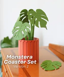Monstera Coaster Set