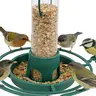 Outdoor Bird Feeder From Plastic Coke Bottle, DIY Transform Any Bottle Into Attractive Hanging Feeder, Automatic Seed Dispenser for Birds in Garden or Balcony, Wild Bird Feeder