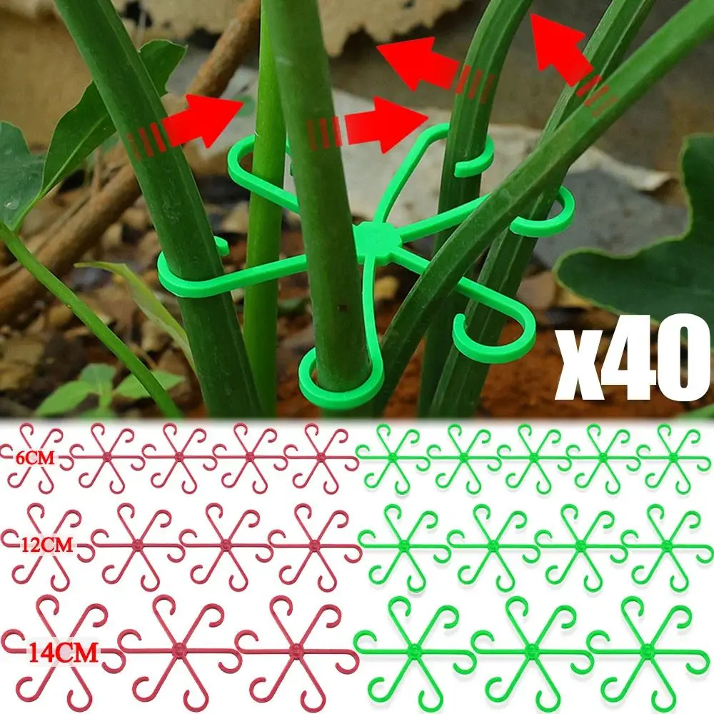 PP Plastic Multi-Size Square Plant Stem Brackets with 6-Hook Support Clamps (40pcs, 4 Sizes: 12×12×0.4cm, 13.9×13.9×0.4cm, 4pcs/Set) for Garden Flower Vine & Vegetable Stem Holding, Multi-Size Set