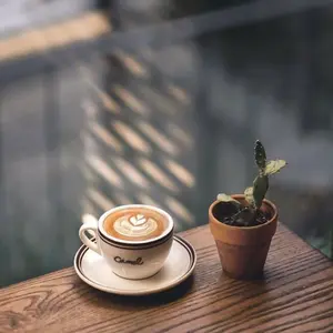 background preload poster image 