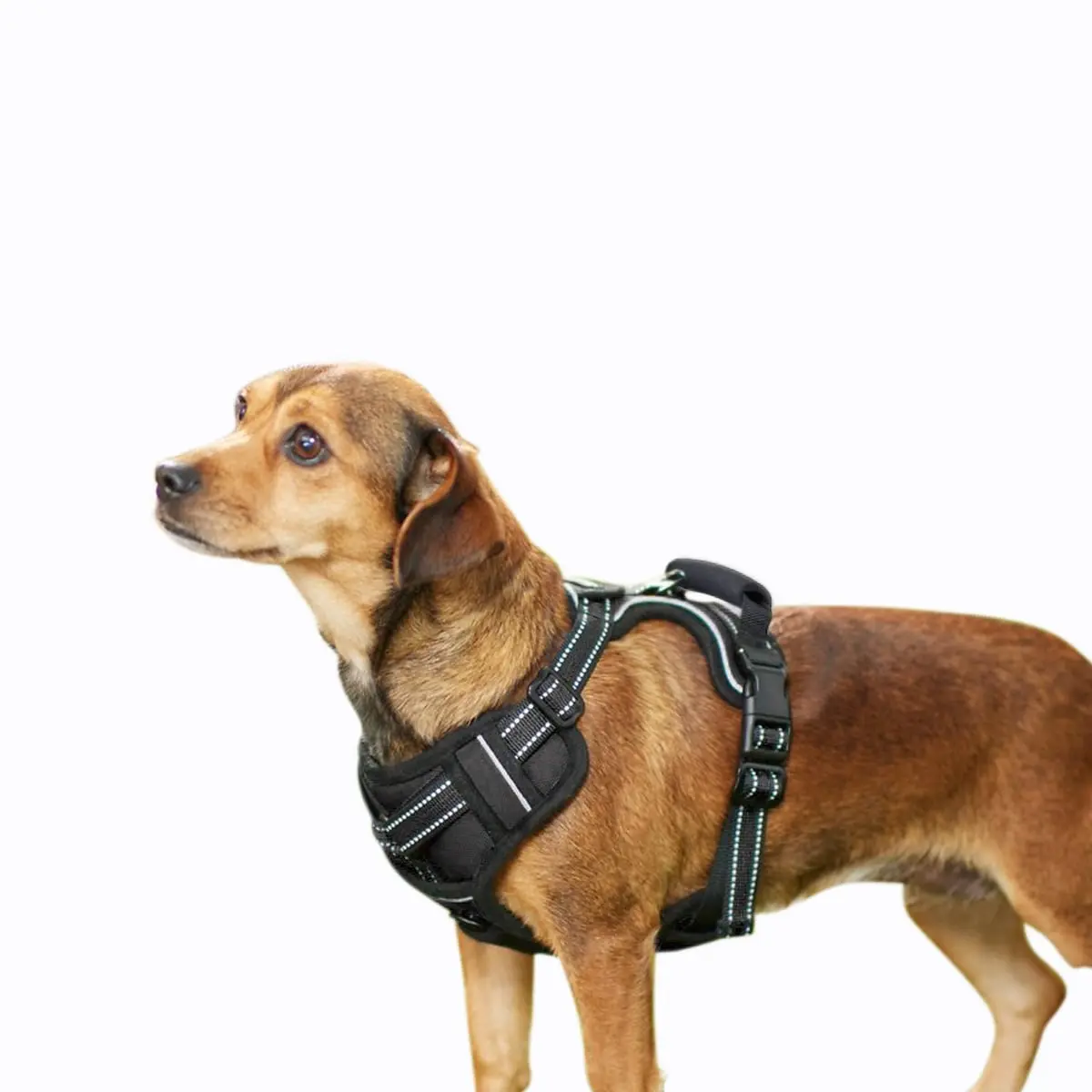 360 Stand Padded Reflective Dog Harness with Adjustable Fit, Easy Control, Lightweight Design, Top Handle, Night Safety for Outdoor Use with Small, Medium, Large Dogs