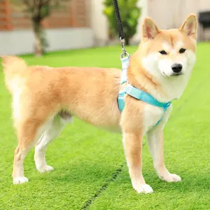 Light Up Dog Harness - Led Dog Harness Lighted for Night Walking Adjustable Glowing Vest for Small Medium Large Dogs