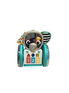 Baby Einstein Chase & Tap Earl