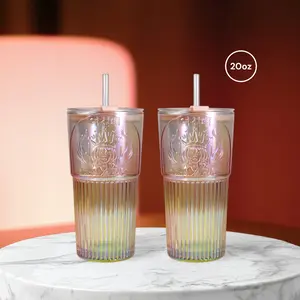 2 Pack 20oz, Glass Cup, With Lid, With Straw, With Glass Straw, Leak Proof Bottle Drinkware