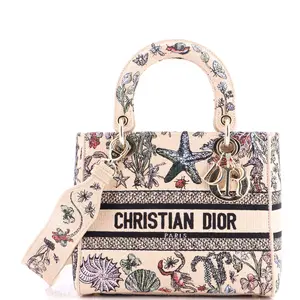 Pre-owned Dior Raffia Top Handle Bags Christian Lady D Lite Bag Embroidered Medium by Rebag