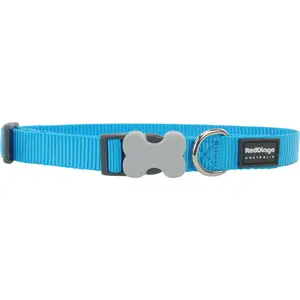 Classic Turquoise Dog Collar