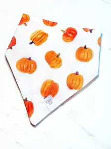 Pumpkin Patch Dog Bandana