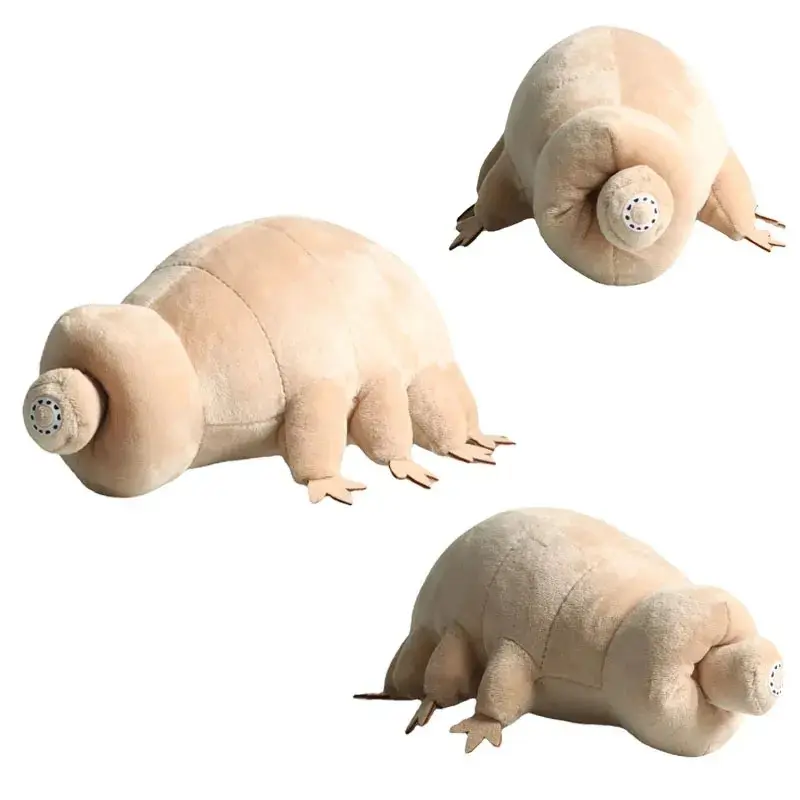 25cm Water Bear Tardigrade Plush Toy - Cute, Fun Learning Toy for Kids & Toddlers, Educational Birthday Gift for Children, Toys For Toddlers
