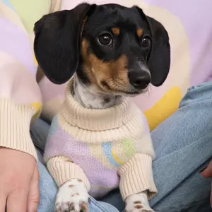 Wavy Knitted Dog Sweater for Dachshunds - 100% Cotton Winter Wear for Cozy & Stylish Pets Matching Human Wavy Oversized Sweater Available