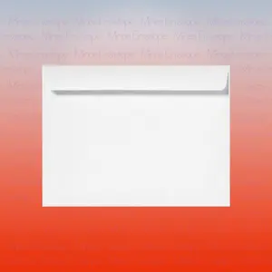 100 Envelope - 10 x 13 Inch White Booklet Envelopes, Heavy 28lb Paper, Side Opening, Gummed Flap, 100 Count