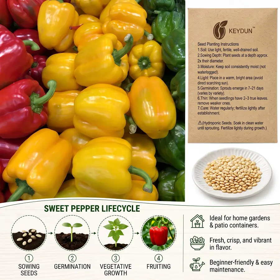 [KEYDUN] Heirloom Sweet Pepper Seed Packets, Easy-Grow Varieties for Balcony/Container Gardening (Indoor, Outdoor), Fresh Garden Addition for Patio Enthusiasts