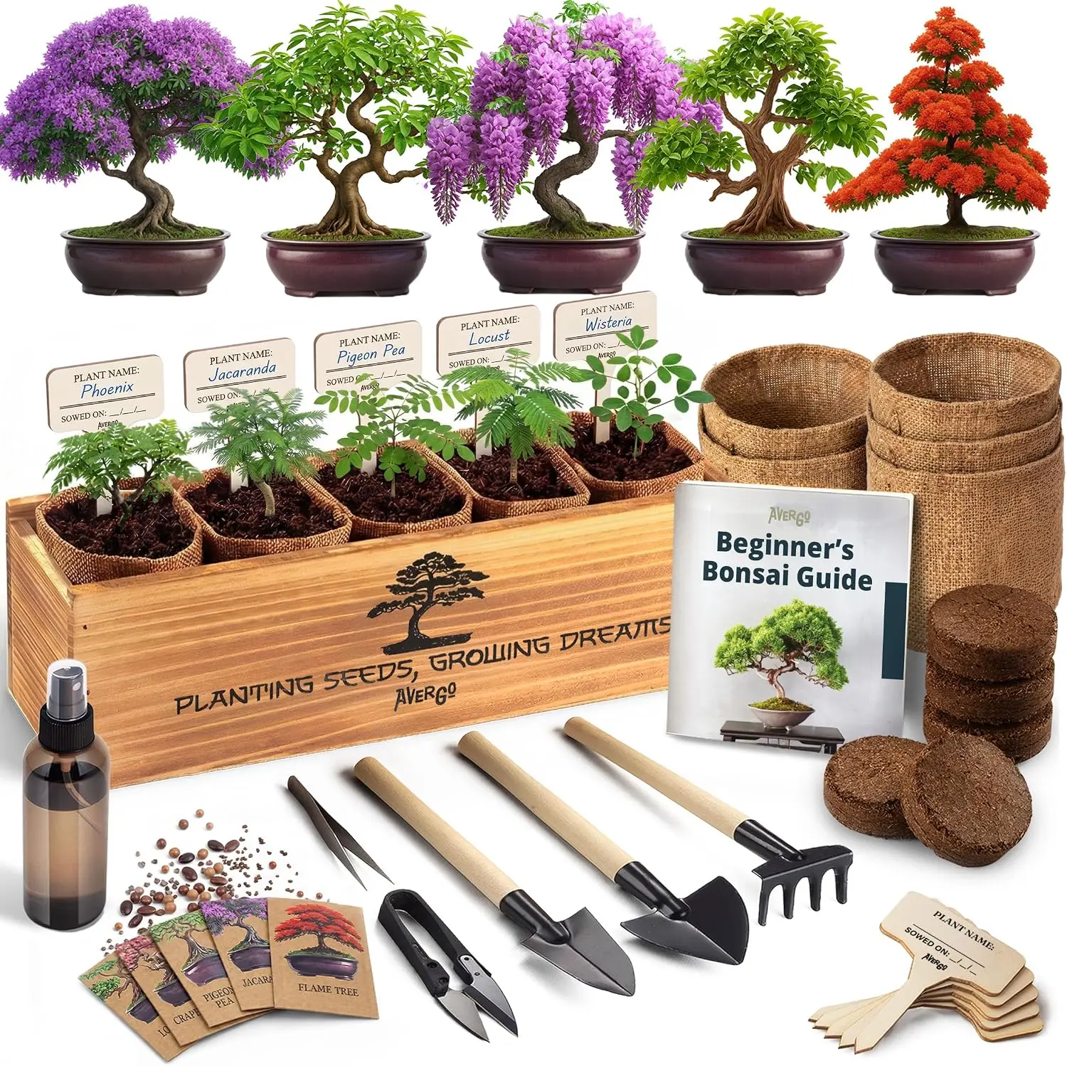 AVERGO Bonsai Tree Kit Classic - 5X Unique Japanese Bonzai Trees | Complete Indoor Bonsai Starter Kits for Growing Trees – DIY Gardening Gifts for Mother, Women & Men
