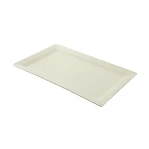 10 Strawberry Street Set of 2 Whittier Rectangular Platters