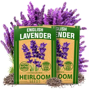 Premium English Lavender Seeds - 2 Pack