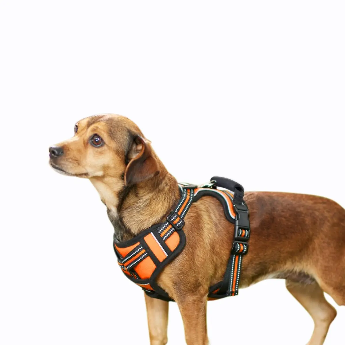 360 stand GDH-1422OR Padded Reflective Dog Harness, Adjustable Lightweight Outdoor Pet Harness with Top Handle for Easy Control, Night Safety for Small to Medium Large Dogs