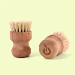 EcoGeek Scrub Brush