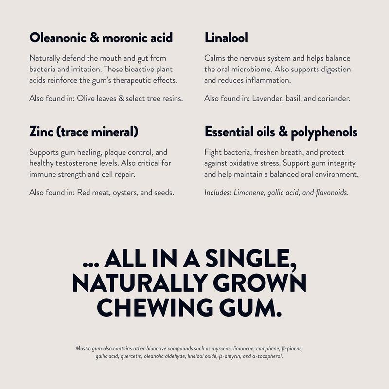 Greco Gum - Premium Mastic Gum Droplets - Hard Chewing Gum Promotes Jaw Exercise - Pure Mastic Resin with Piney Flavor - 1 Tin (45g)