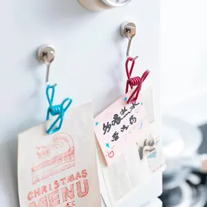 10pcs Multipurpose   Stainless Steel Clips Clothes Pins Pegs Socks Hanging Pegs Clips Household Clothespin Hanger Organiser Photo