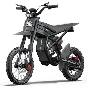 GT54 Pro Electric Bike for Teens Adults, 3000W Brushless 338Nm Motor 14" & 12" Tires UL 2849 All Terrain Full Suspension E Bike