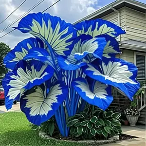 800 Hosta Seeds – Reliable Ground Cover That Adds Texture, Movement, and Calm to Any Space