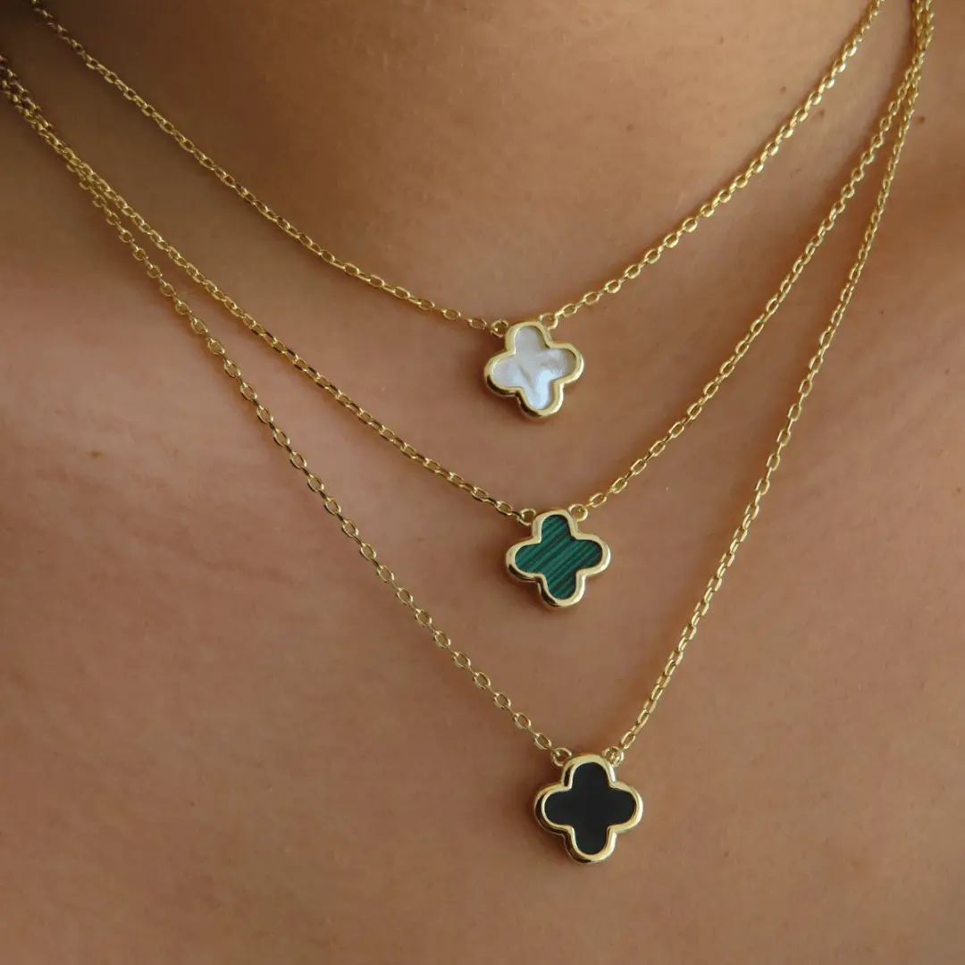 EVRY JEWELS Gold or Silver Plated Women's Waterproof Lucky Necklace EVRY JEWELS Gold or Silver Plated Women's Waterproof Lucky Necklace