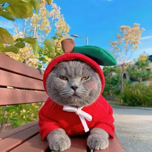 Cat Hoodie Winter Warm Fleece Pet Clothes Small Dog Hoodie Cute Fruit Pattern Puppy Coat French Bulldog Chihuahua Outfit Soft Cozy Hooded Pet Costume Jacket for Small Pets