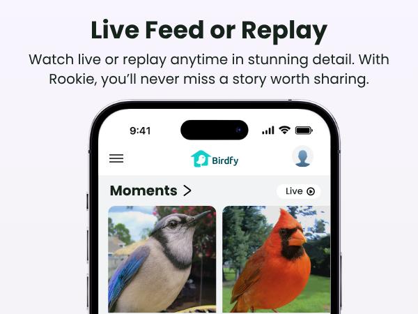 Birdfy Smart Bird Feeder with Camera for Rookie, Camera Bird Feeder Dual Night Vision, AI Recognition IP66 Waterproof for BirdLovers