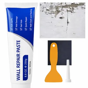 Drywall Patch Repair Kit,250g Wall Mending Agent,Drywall Repair Kit,Plaster Repair Kit,Wall Fix,Wall Surface Hole Fill Quick and Easy Solution