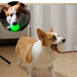 Dog Glowing Ball Bite-Resistant Rubber Squeeze Toy, Tpr Chew Resistant Night Glow Elastic Ball, Interactive Training Ball, Suitable for All Breeds, Night Play Interactive Fetch, Indoor Training Ball