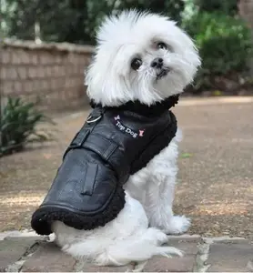 Black Top Dog Flight Coat with Leash