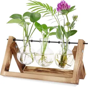 Propagation Stations,Plant Terrarium with Retro Wooden Stand, Unique Gardening Birthday Gifts for Women Plant Lovers, Hydroponics Plants Home Office Garden Decor - 3 Bulb Glass Vases