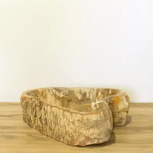 Petrified Wood Vessel Sink