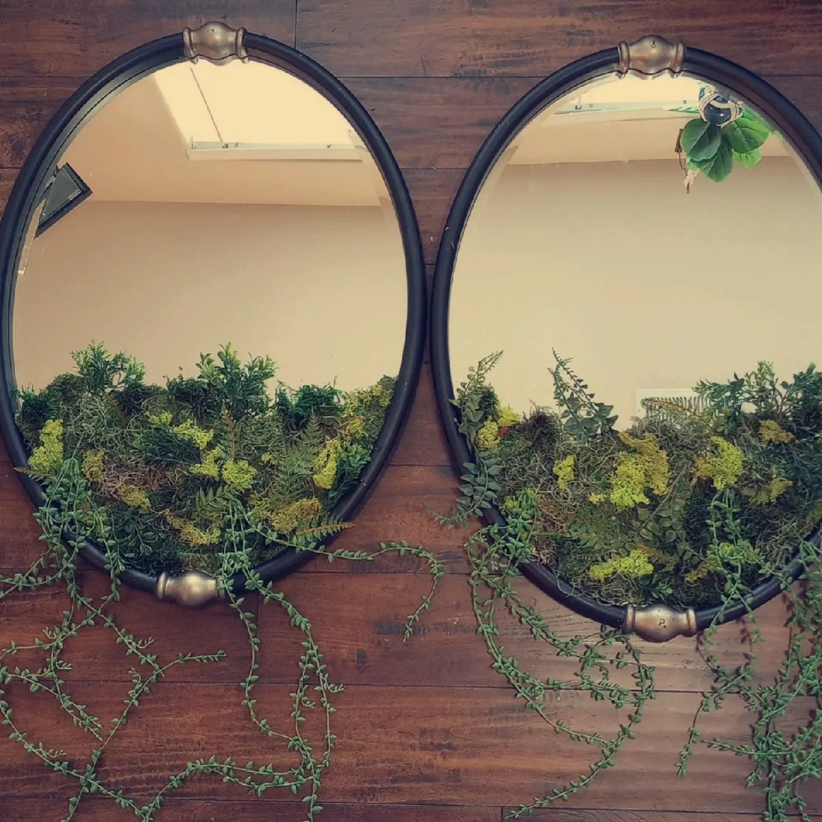 Handmade Moss Mirrors