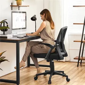 Yaheetech Mesh Office Chair 90° Flip-up Armrests Adjustable Lumbar Support Cushioned Seat Ergonomic Home Chair Black with SGS Features