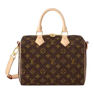 Louis Vuitton Speedy 25 Monogram Canvas Pillow Bag for Women, Brown