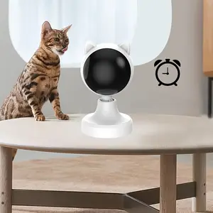 USB Rechargeable Laser Cat Toy - Portable Interactive Play for Indoor Cats, Safe Low-Power Light