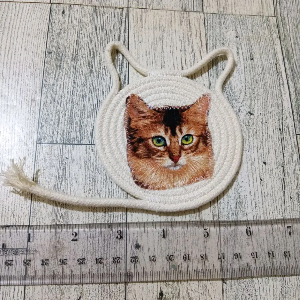 cat coaster